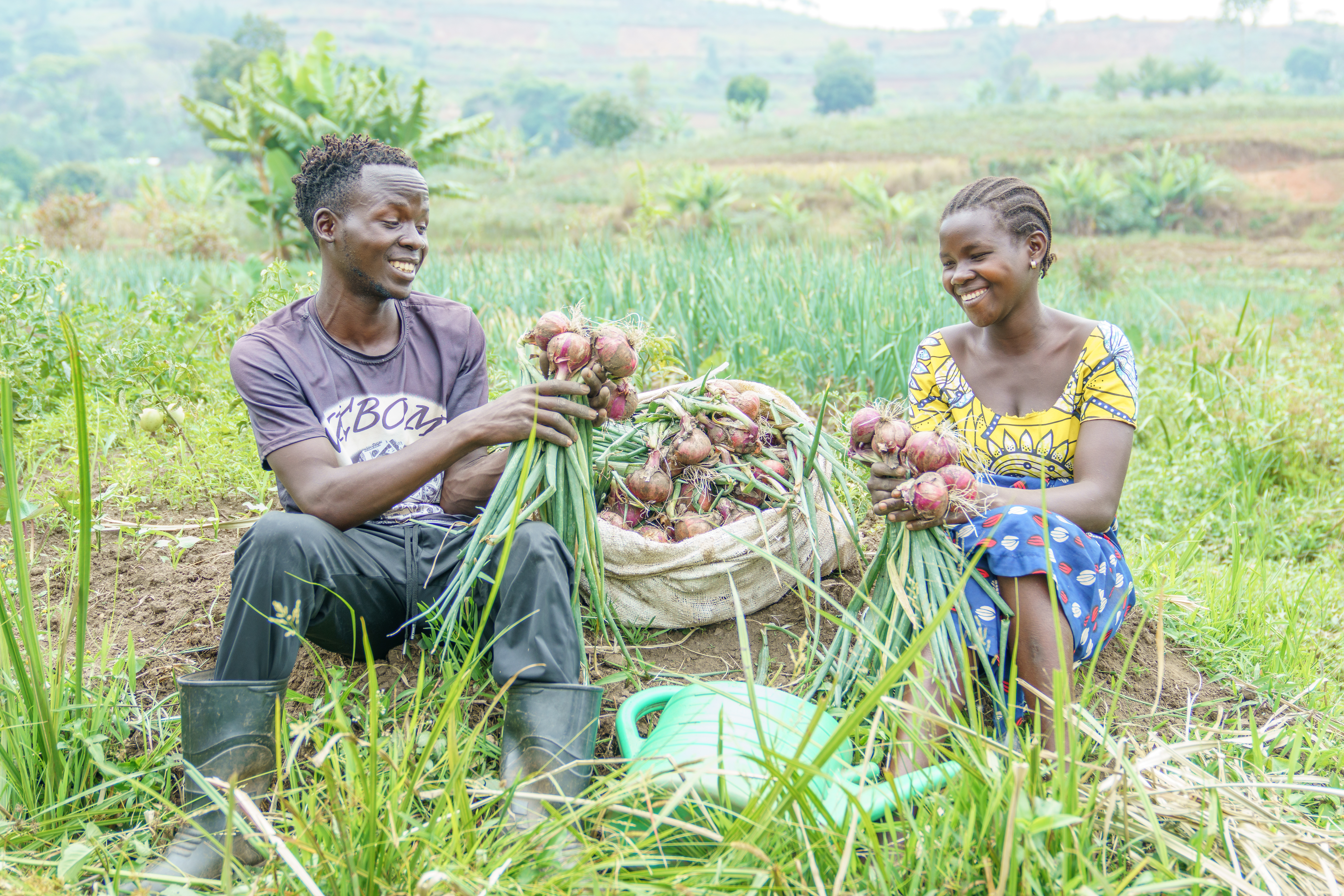 Two farmers in a field inspecting their harvested crops.