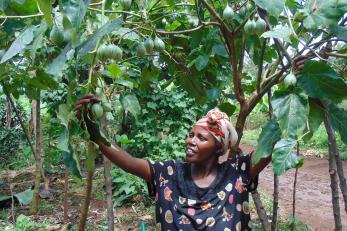 Congolese farmer with her fruit crops.
