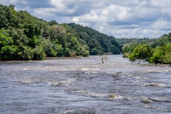 The rivière epulu, one of the main tributaries of the ituri province in the democratic republic of congo. 