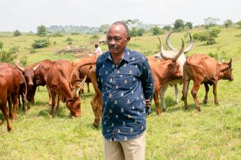 Man standing amidst cattle in range land scene.