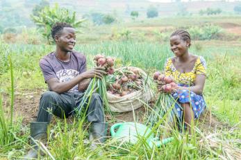 Two farmers in a field inspecting their harvested crops.