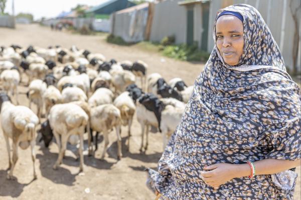 Ethiopian woman with her herd of goats in background.