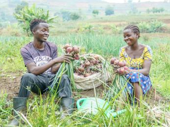 Two farmers in a field inspecting their harvested crops.